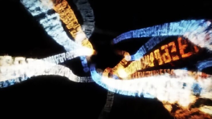 Dynamisk visuel komposition med flydende tekstmønstre og levende farver, der repræsenterer forbindelse og transformation i bevægelse