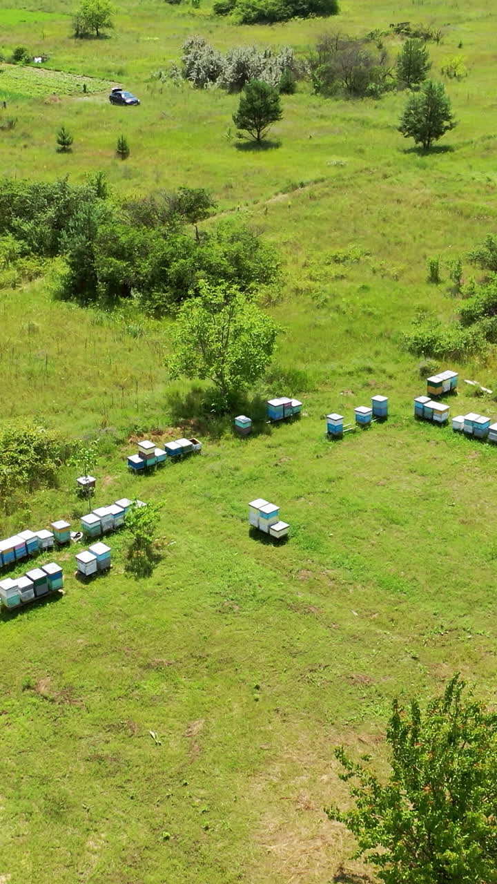Aerial view of hives in apiary. Aerial drone view of apiary with wooden old beehives