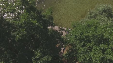 Aerial-Shot-Of-Wooden-Pier-And-Boat-On-The-Lake-Shore