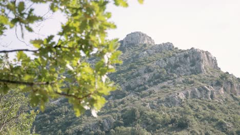 Focus-pull-from-a-green-tree-branch-on-a-hiking-trail-to-a-mountain-peak-in-France