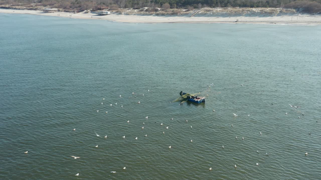 antena: bandada de gaviotas rodea a los pescadores en color azul redes de lanzamiento de barcos cerca de la orilla del mar báltico
