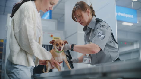 airport security check for a dog