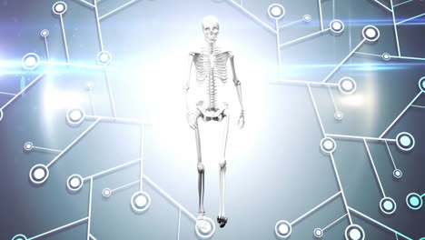 animation of digital human skeleton model over network of connections and light on black background