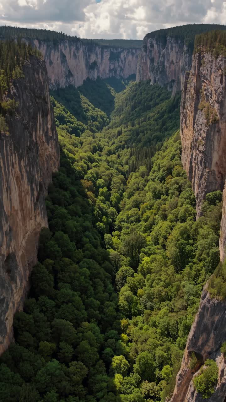 Aerial view of a lush green canyon surrounded by towering cliffs under a cloudy sky, perfect