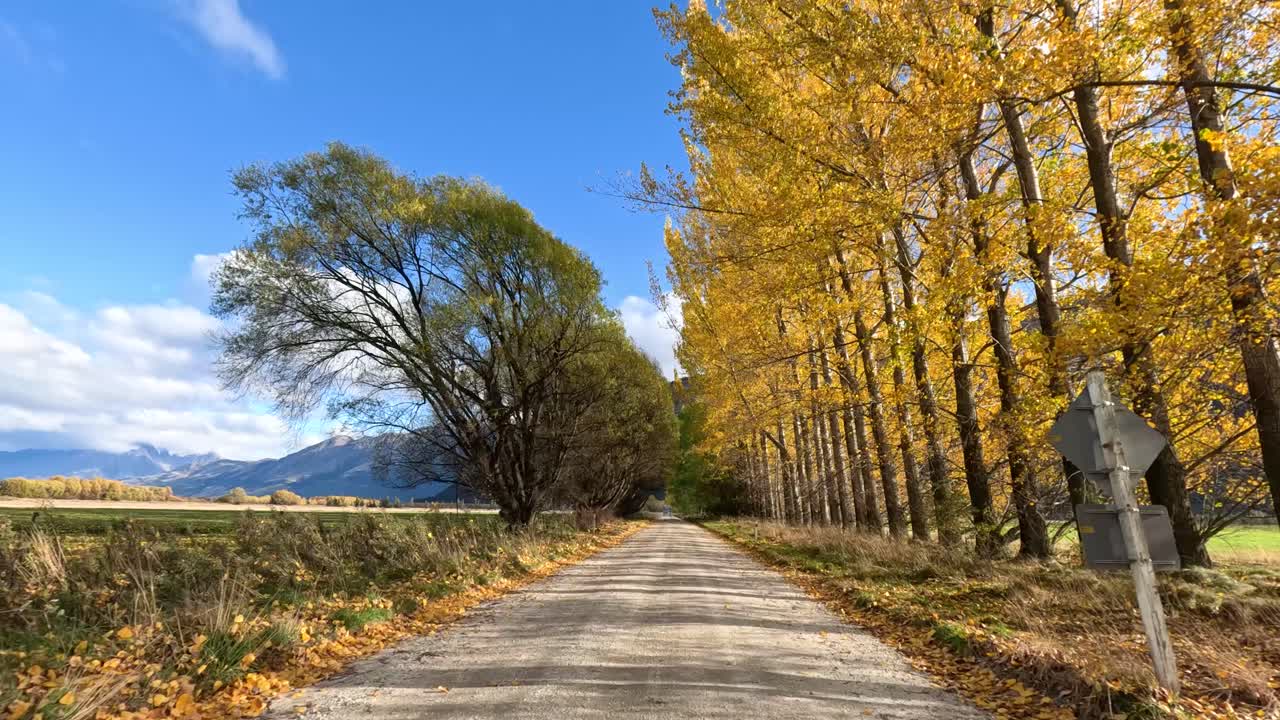 Forward-moving car view along autumn gravel road, golden trees, blue sky, natural daylight, steady shot