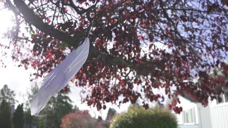 tracking shot of a creepy halloween ghost decoration hanging on a blossom tree and swaying with the wind on a sunny autumn day in a residential neighborhood