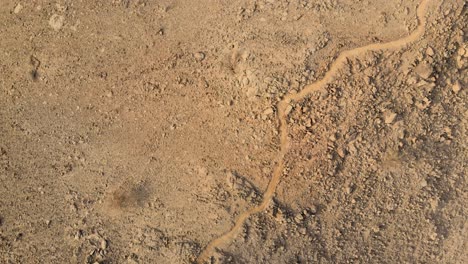 ruta de ciclismo de montaña enduro con puesto de control de cabaña de descanso de madera en al taween, fujairah, emiratos árabes unidos