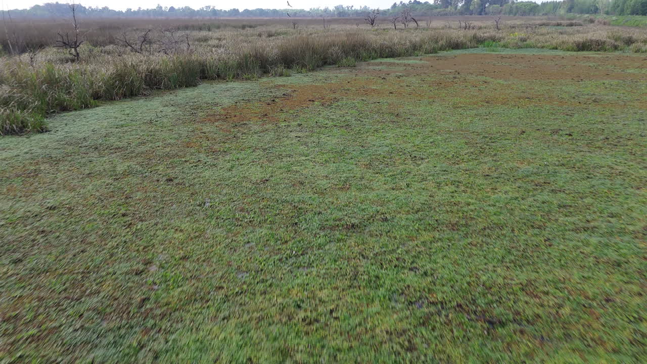 Aerial angled dolly over wetlands with water channels weaving through green vegetation under a cloudy sky