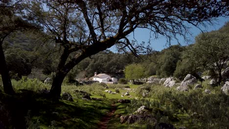 POV-walking-on-shaded-forest-trail-toward-little-house-in-middle-of-countryside