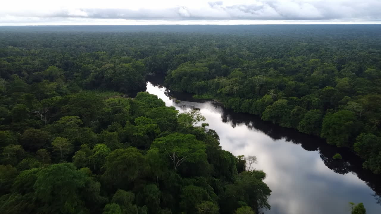 Luchtfoto van een kronkelende tropische regenwoudrivier, weelderig groen bladerdak onder een bewolkte hemel, spiegelend water.