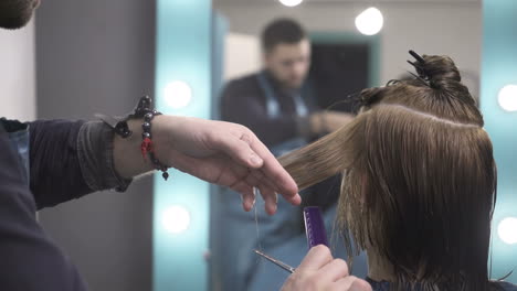 professional hairdresser dyeing hair of her client at beaty salon