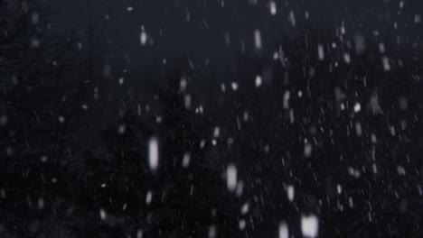 snow falling downwards quickly on a dark january night with trees in the background