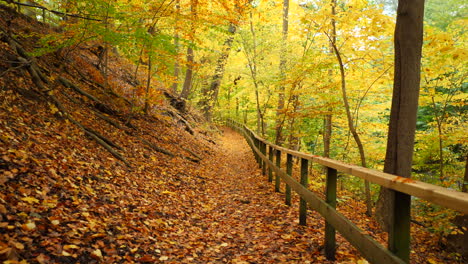 Langsame-Bewegung-Auf-Dem-Herbstpfad-Im-Wald