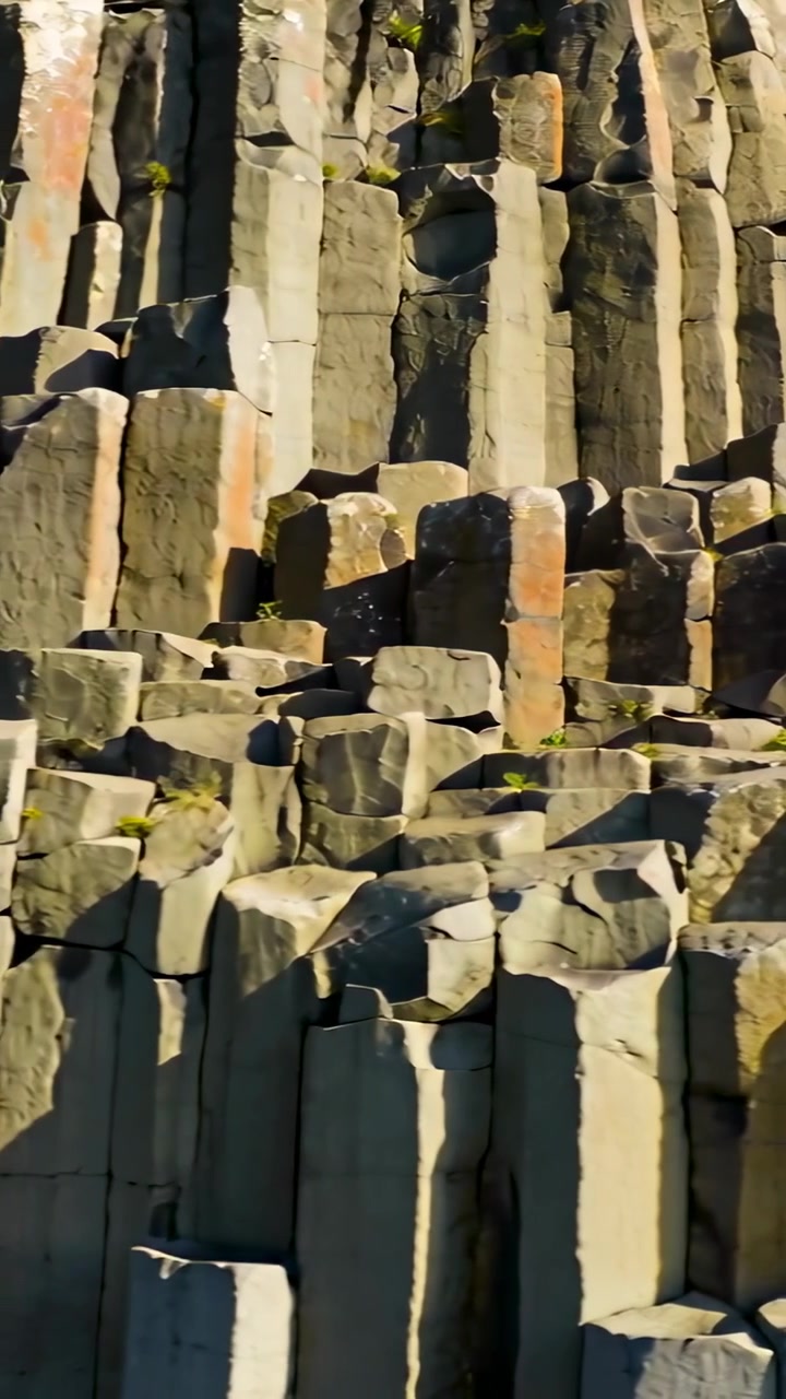 Vertikal video: Panorerende kamera afslører basaltklippes øvre kystterrasser, måge krydser nedre afsats