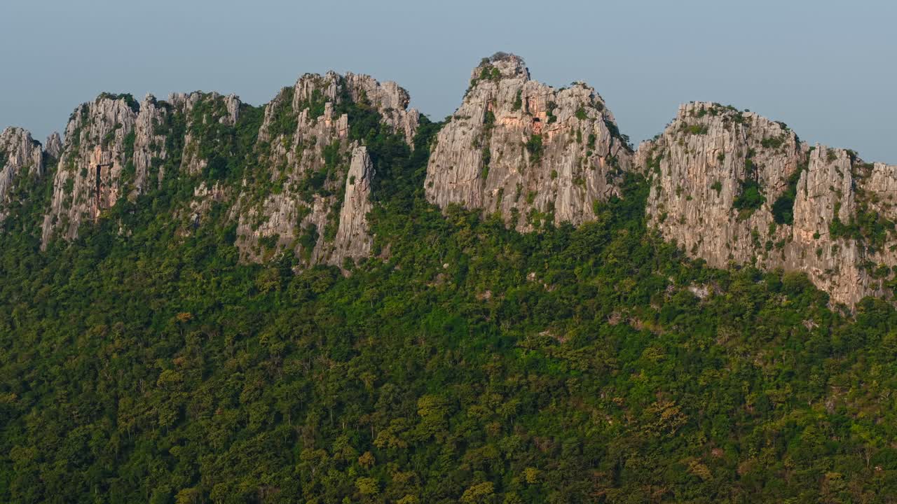 cordillera con bosque