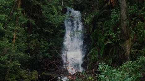 close-up-statit-shot-of-a-waterfall-at-slow-motion-in-the-rainforest-near-vancouver-in-British-Columbia,-Canada