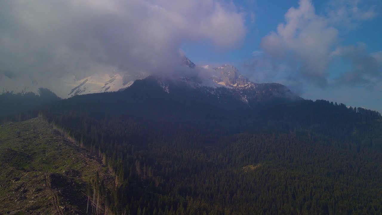 el impresionante panorama que ofrece una vista de la imponente montaña y el extenso bosque exhibe un espectáculo verdaderamente cinematográfico
