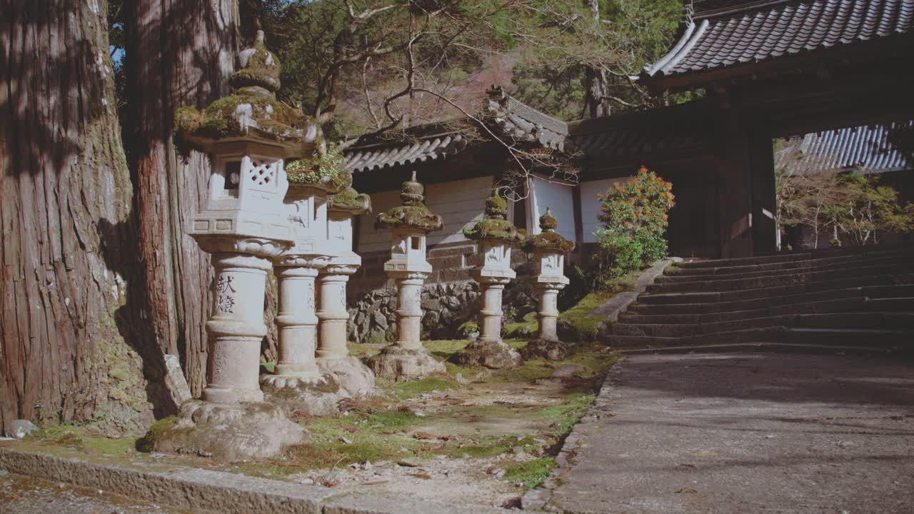 A serene scene of stone lanterns at a Japanese temple, surrounded by moss and trees, evoking tranquility and cultural heritage.