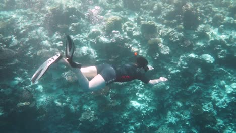 Snorkeler-Coral-reef-in-the-Maldives