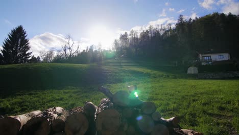 summer sunset in the countryside