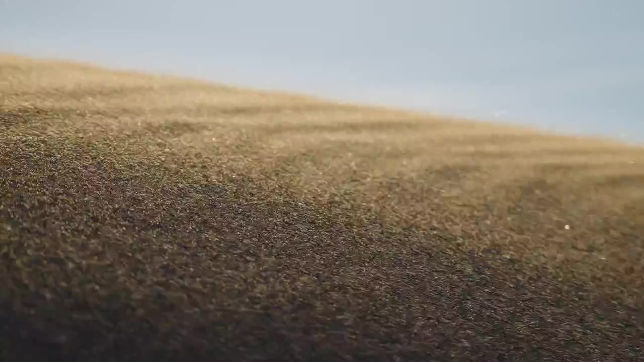 Close up view of windblown desert sand with shimmering grains and smooth dune surface under soft natural light.
