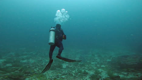 disparo acuático de un buzo explorando