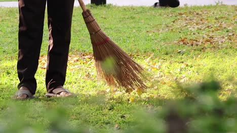 a person uses a broom to sweep fallen leaves on a grassy area, focusing on tidiness.
