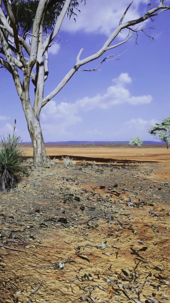 Nell'outback australiano, il terreno arido si estende per tutta la terra