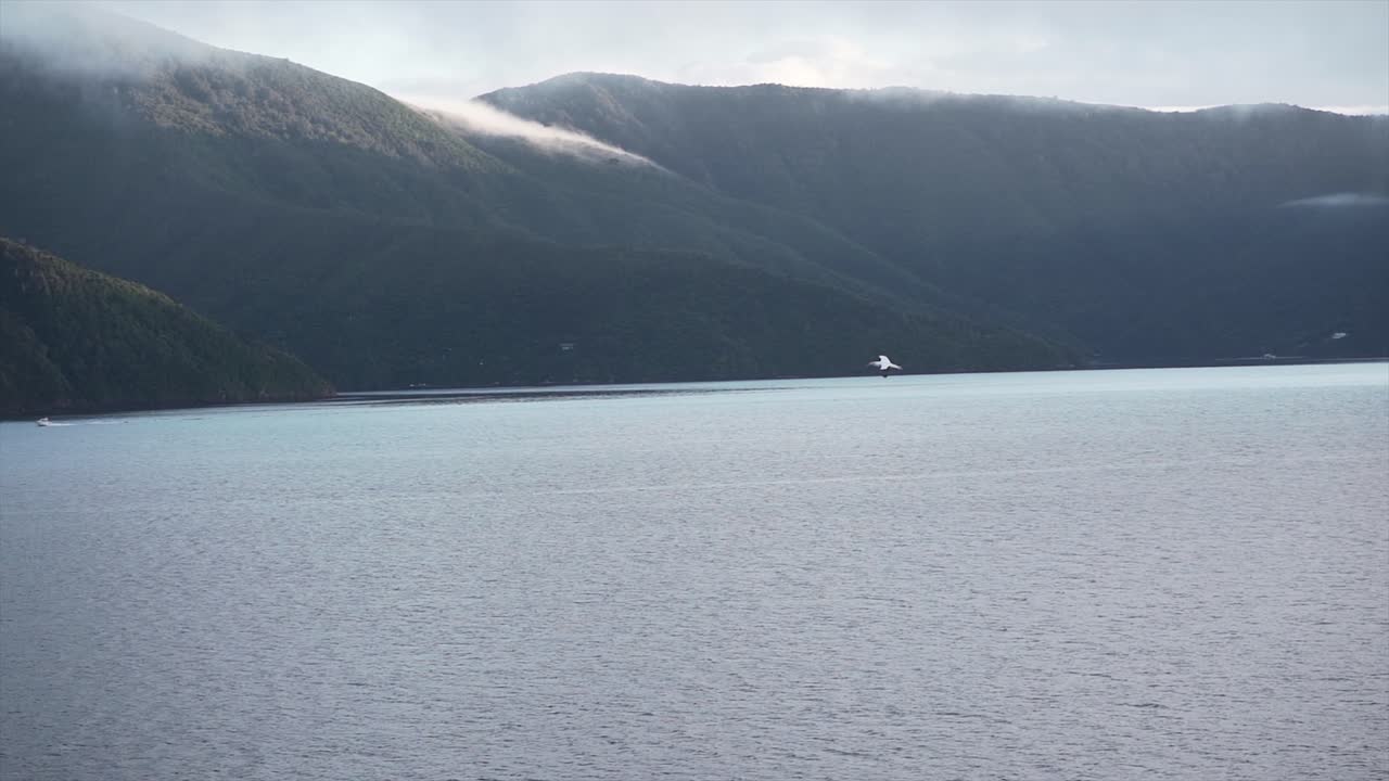Scenic view of mountains, sea, and bird