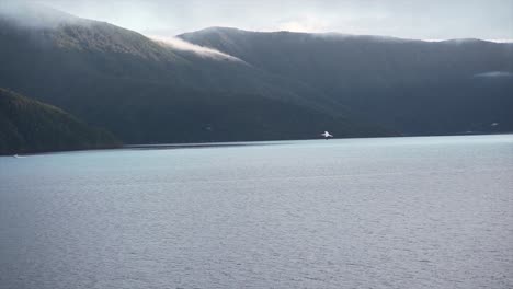scenic view of mountains, sea, and bird