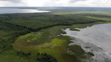 aerial view of forest with creek leading to a lake