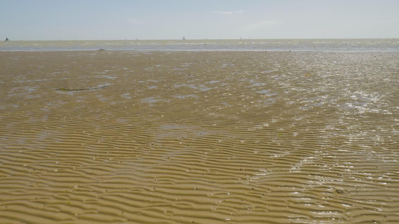 물결이 낮을 때 해변의 모래파를 앞으로 확대합니다.