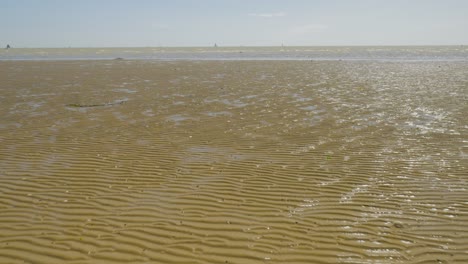 acercarse hacia adelante en las olas de arena de la playa durante la marea baja