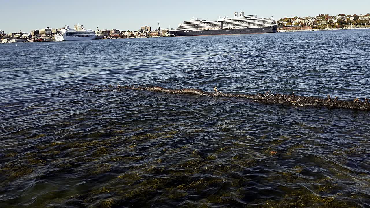 Porland, Maine waterfront with Holland America cruise liner and second unidentied liner at dock at end of Tourist Season