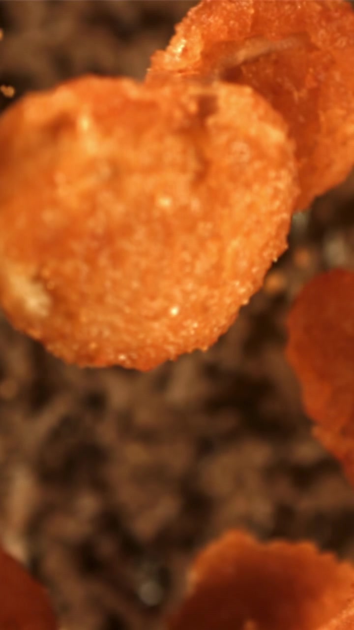 Ripresa macro di un nugget fritto dorato e croccante che si mette a fuoco