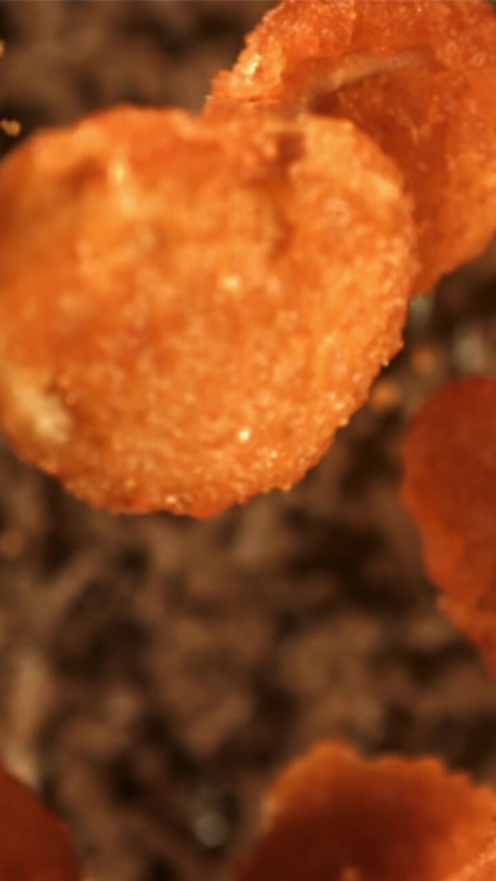 Macro Shot of a Crispy Golden Fried Nugget Coming into Focus