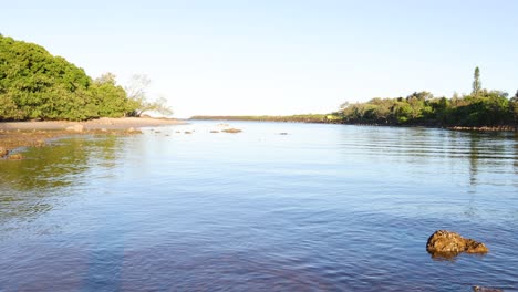 calm river scene with lush greenery