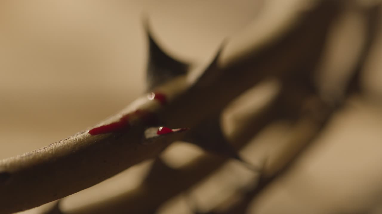 가시 면류관에 피 방울이 가까이 있는 종교적 개념