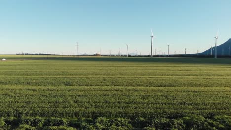 Gesamtansicht-Von-Windkraftanlagen-In-Ländlicher-Landschaft-Mit-Wolkenlosem-Himmel