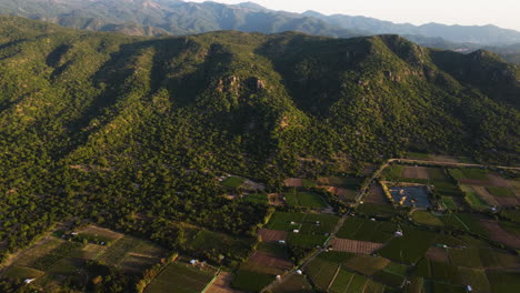 aerial, wine vineyard farm fields at the base of a hill mountain range