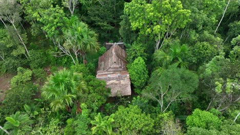 house tropical jungle in amazon, south america