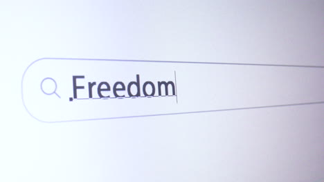 browser bar with typed freedom keyword on the computer screen, seo concept