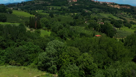 vineyards of tuscany, tilt reveal montepulciano medieval town