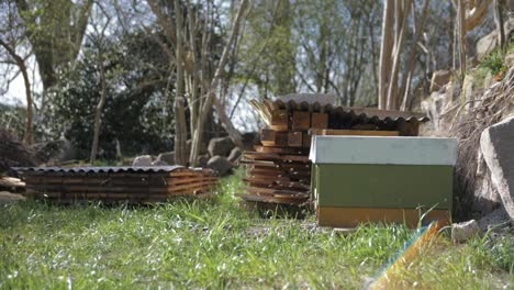 Bienen-In-Zeitlupe-An-Einem-Bienenstock-Im-Freien-An-Einem-Grünen-Ort---180-Bilder-Pro-Sekunde