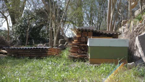 abejas en cámara lenta en una colmena al aire libre en un lugar verde - 180 fotogramas por segundo