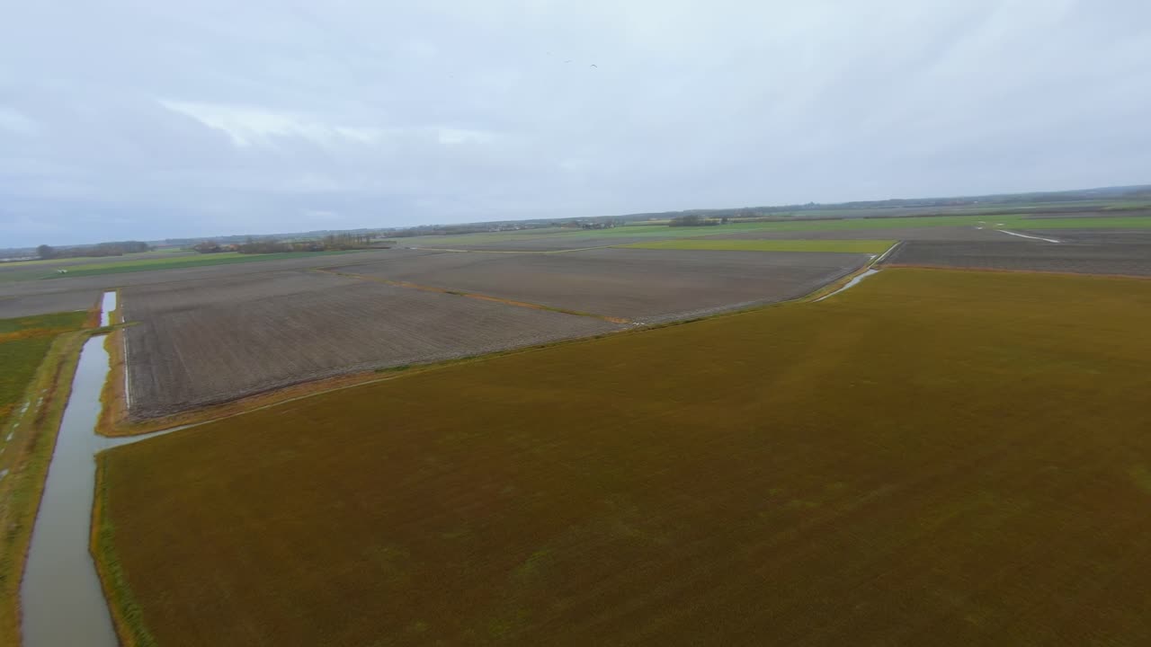 drone volando a través de una bandada de gaviotas sobre un campo agrícola plano