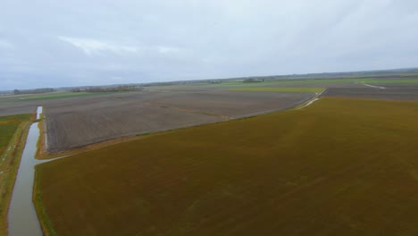 Drone-Volando-A-Través-De-Una-Bandada-De-Gaviotas-Sobre-Un-Campo-Agrícola-Plano