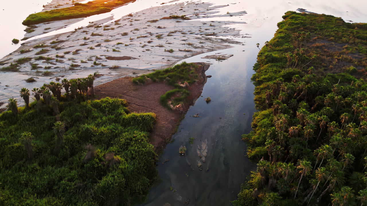Aerial drone view of a peaceful river winding through a lush palm oasis in Baja California Sur