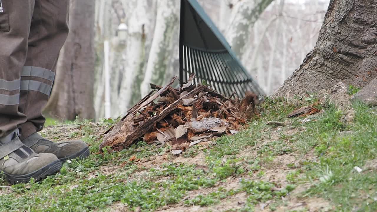 Park Worker Removing Fallen Leaves and Debris
