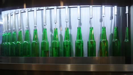 green bottles being filled with drink at bottling plant